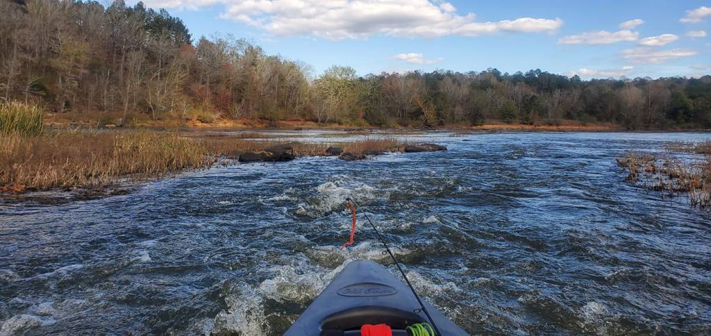 canoe in tide of Flint River Upson County, GA