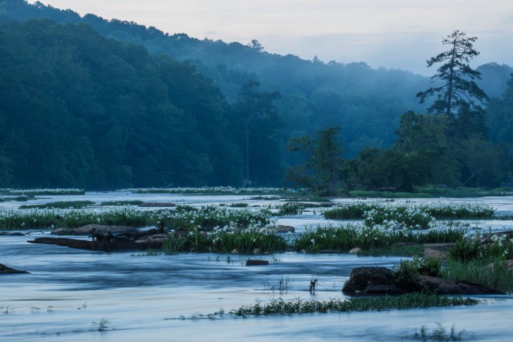 view of mountains and flowers in the misty morning on the Flint River in Upson County, GA