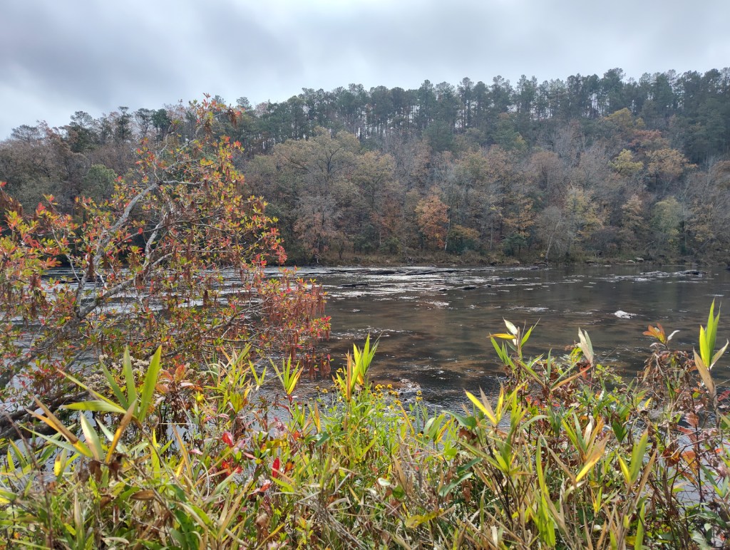 flower and water view of the Flint River in Upson County, GA